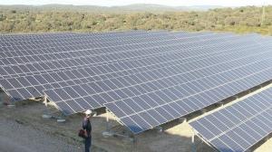huerto-solar-cordoba-644x362